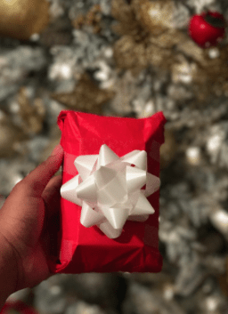 Screen Shot 2016-12-24 at 6.30.52 PM.png