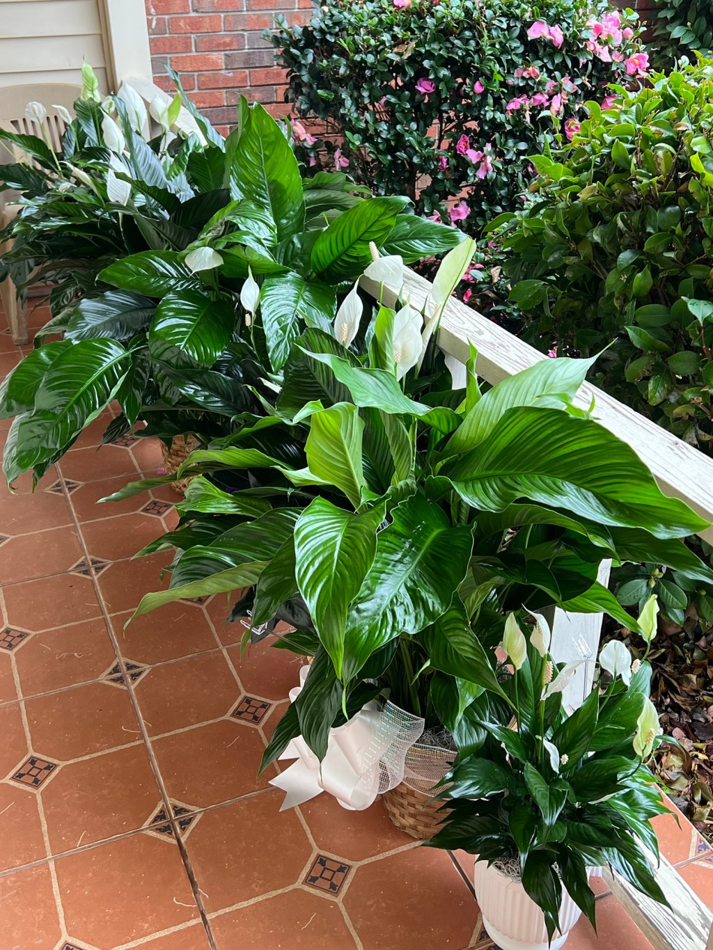 I Have Nothing To Say Until I&nbsp;Do